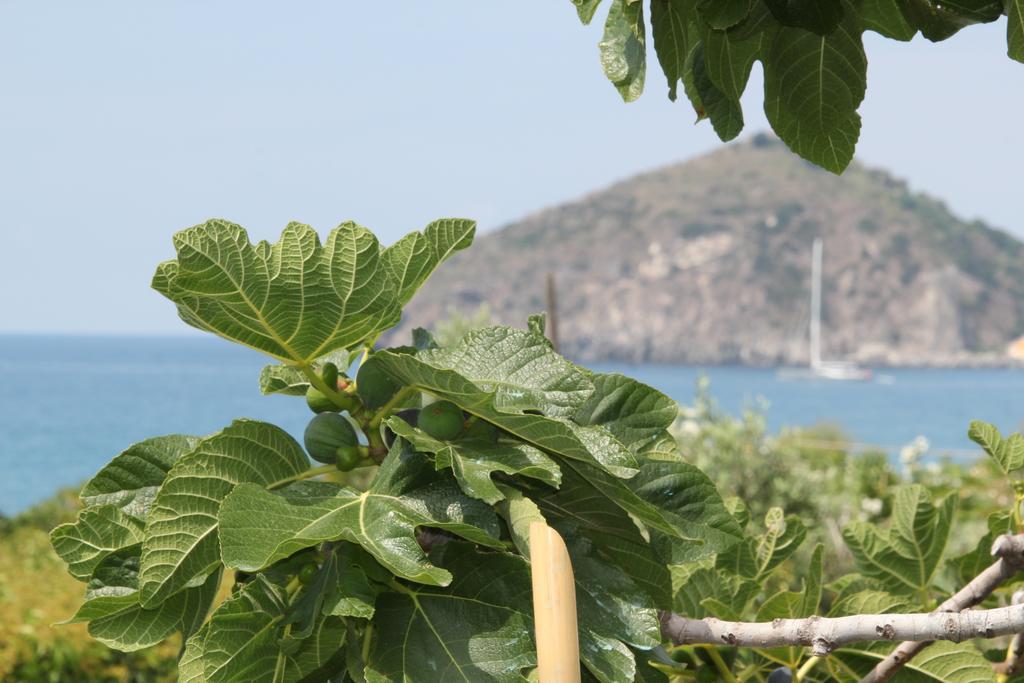 Hotel Maronti Barano d'Ischia Luaran gambar